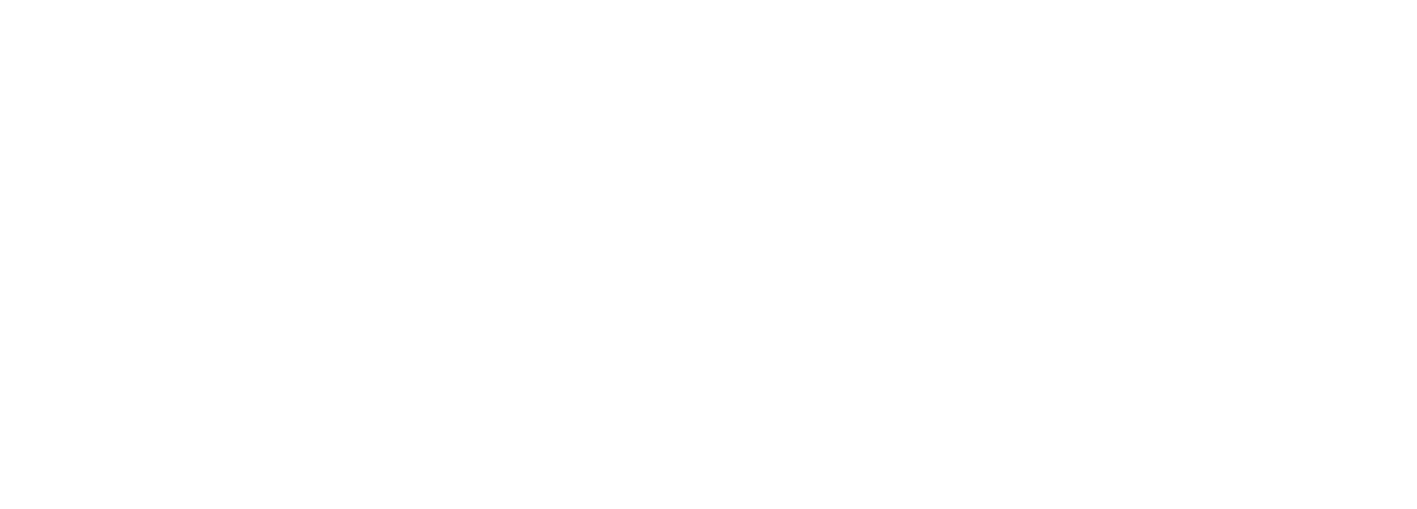 Logo with Inc - smaller - white
